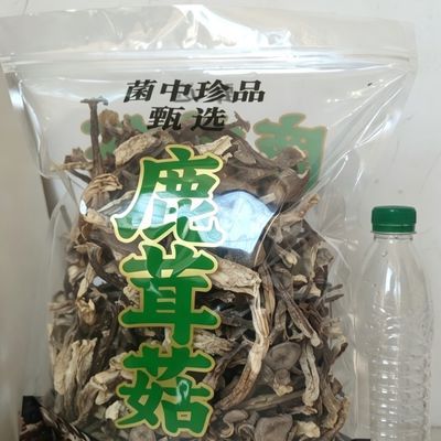 鹿茸菇,无干燥剂增重1斤大袋装新鲜大个无硫云南鹿茸菇干货煲汤