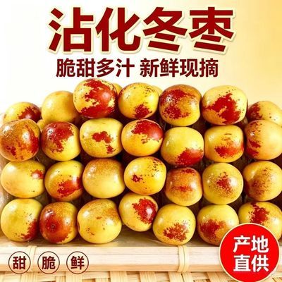 正宗山东沾化冬枣现摘现发脆甜多汁头茬鲜枣当季新鲜水果特产水果优惠商品图片
