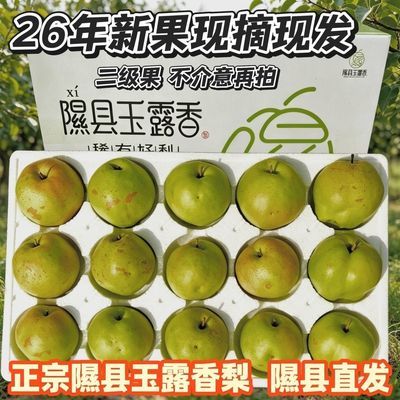 正宗隰县玉露香梨多汁新鲜小西天应季整箱水果二级果不介意再拍