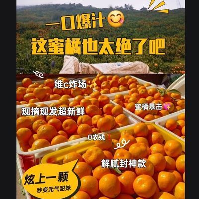 城固升仙村桔子直发薄皮纯天然当季无核新鲜无籽顺丰