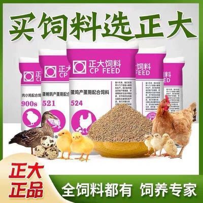 精品鸡饲料小中大鸡下蛋鸡颗粒小鸡料厂家批发雏鸡正品