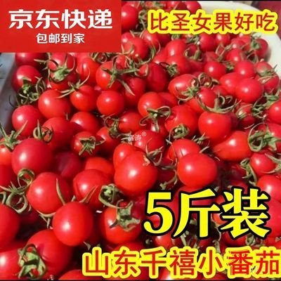 5斤山东千禧小番茄千禧圣女果好吃水果樱桃小西红柿新鲜蔬菜整箱