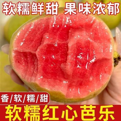 老树红心软糯芭乐奶油番石榴当季果整箱新鲜低糖孕妇应季水果