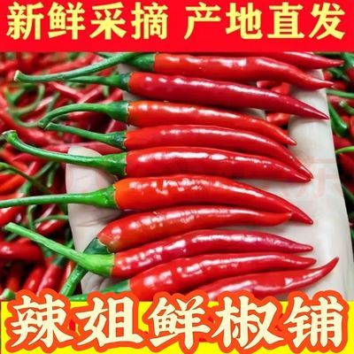 云南小米新鲜现摘鲜椒辣鲜椒特辣泡椒巨辣魔鬼红辣椒辣椒朝天椒