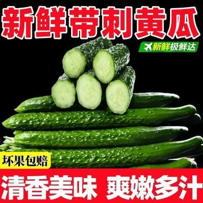带箱5斤水黄瓜刺黄瓜新鲜蔬菜长黄瓜脆嫩新鲜蔬菜整箱批发优惠商品图片