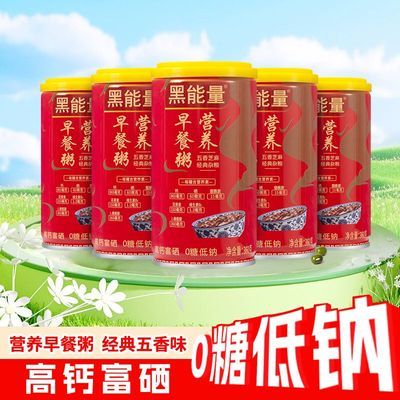黑能量营养早餐粥芝麻绿豆燕麦杂粮代餐粥高钙富硒0糖咸味八宝粥