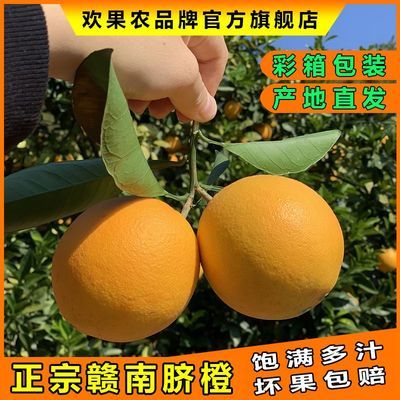 江西正宗赣南脐橙10斤寻乌橙子精品甜新鲜水果产地直发【10月31日发完】