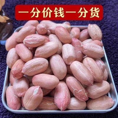 26年特级大鲁花】新货精选无壳大颗粒花生米粉红皮新鲜生花生米