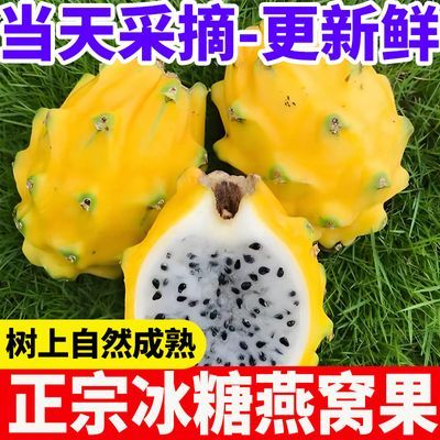 新鲜燕窝果大果黄皮云南麒麟火龙果当季罕见白心热带孕妇水果整箱