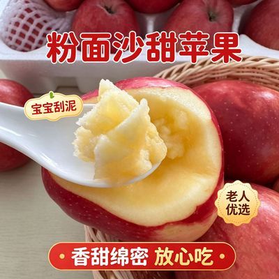 【粉面苹果】正宗山西红星苹果沙甜苹果宝宝辅食老人刮泥当季鲜果