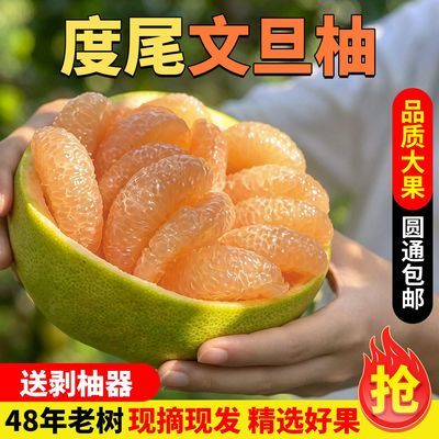 正宗福建仙游度尾文旦柚有孔粉白蜜柚老树新鲜水果无虾线柚子