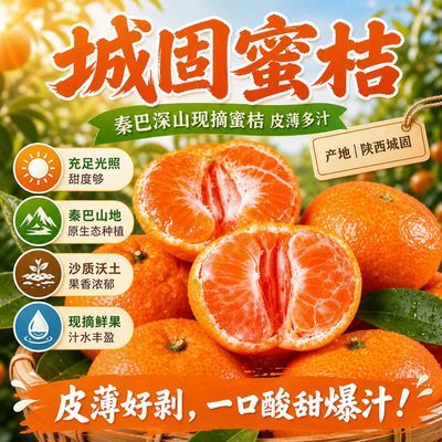 城固蜜橘无籽桔子现摘无核薄皮整箱蜜桔冰糖新鲜橘子当季孕妇水果