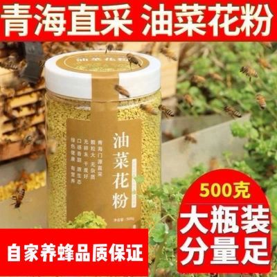2026新鲜油菜花花粉青海纯正天然蜂花粉未破壁食用正宗纯油菜花粉