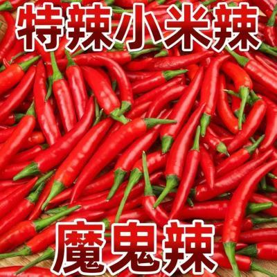 【5斤】云南新鲜小米辣辣椒小米椒蔬菜魔鬼辣椒鲜椒特辣巨辣批发