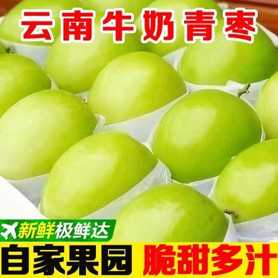 云南牛奶大青枣甜脆一整箱大果应季水果正宗贵妃枣新鲜水果批发