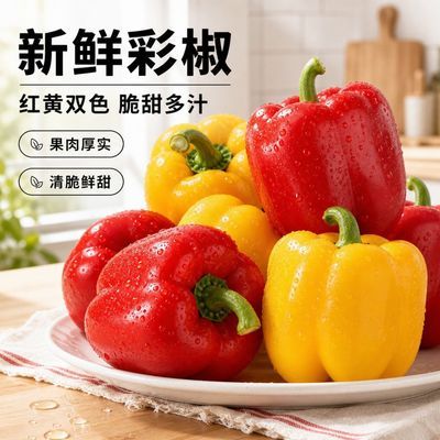 新鲜彩椒云南甜椒圆椒灯笼椒五彩水果柿子椒蔬菜不辣太空辣椒