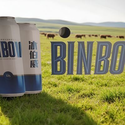 冰伯威德国技术酿造新款500毫升*12罐啤酒正宗整箱现货