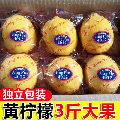 正宗安岳黄柠檬现摘新鲜大果孕妇奶茶饮品专用柠檬榨汁果产地直发