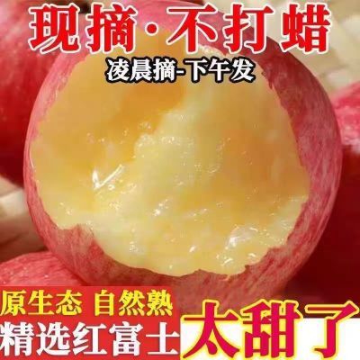 正宗陕西红富士脆甜苹果当季应季新鲜苹果水果膜袋丑苹果整箱批发
