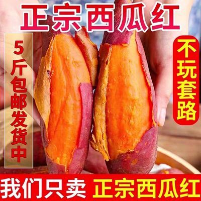 正宗西瓜红红薯5斤包邮发货香甜软糯农家自种新鲜现挖好货