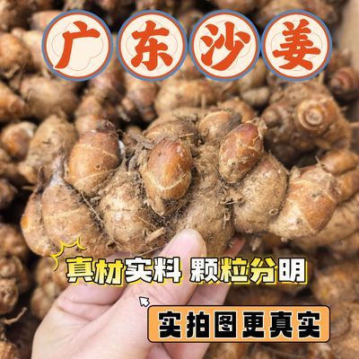 广东新鲜沙姜山奈白切鸡配料沙姜香料