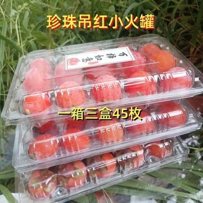 彩箱珍珠蜜柿软柿子流心火晶柿子冰糖当季新鲜水果甜柿整箱包邮