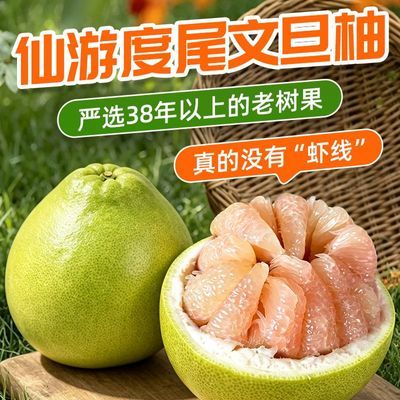 正宗福建度尾文旦柚孕妇酸甜水果应季现摘有孔仙游柚子时令水果