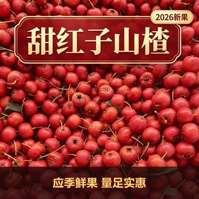 2026新果甜红子山楂应季鲜果量足实惠健康美味糖葫芦糖雪球专用