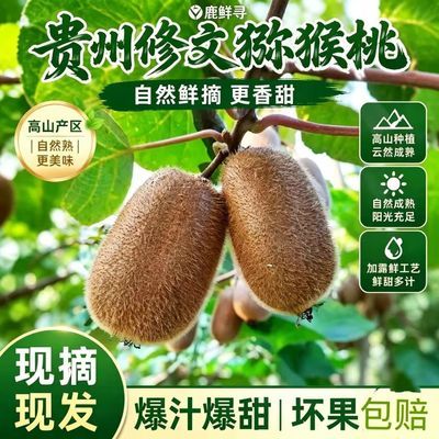 【彩箱】贵州正宗修文贵长绿心猕猴桃新鲜当季水果奇异果采摘现货