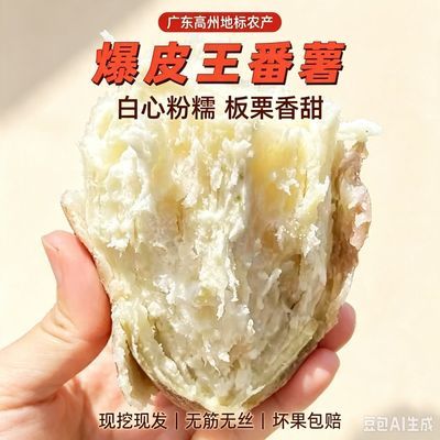 【新品上市】正宗广东茂名板栗薯新鲜现挖爆皮王番薯干面粉糯低脂
