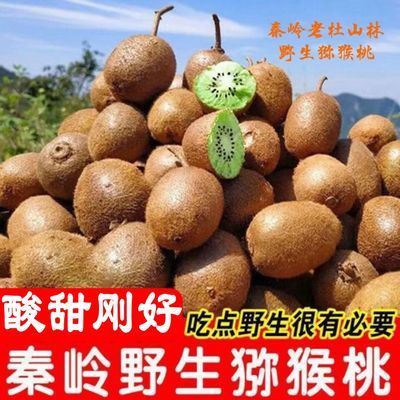 特价陕西秦岭野生猕猴桃绿心奇异果新鲜水果野生猕猴桃