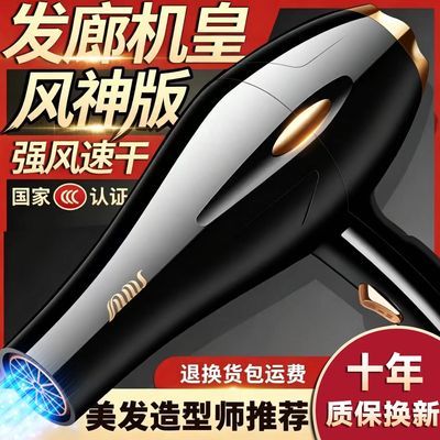 德系发廊吹风机家用大功率大风力理发店冷热风吹风机吹头发大风力