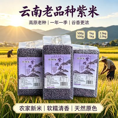 云南正宗品种特产糯米饭团1五谷杂粮紫米非血粽子粗粮新米墨江