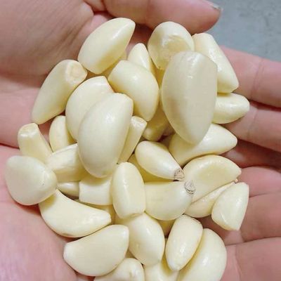 新鲜去皮蒜米净重 4.8 斤免剥餐饮商用炒菜凉拌烧烤可做蒜泥