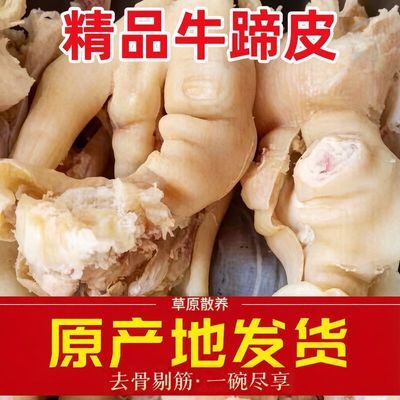 黄牛剔骨去筋牛蹄子皮正宗半熟脱骨牛脚牛蹄皮牛蹄皮整只去骨去筋