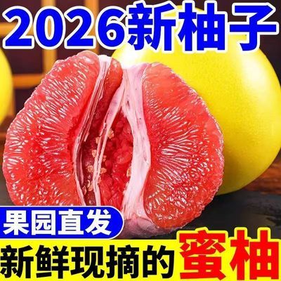 【今年现货】正宗红心蜜柚红柚子红肉薄皮大三红柚子应季水果鲜果
