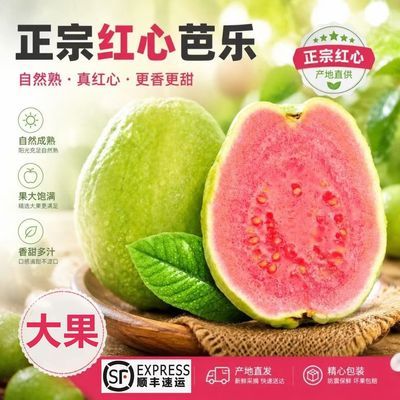 芭乐之乡顺丰直发芭乐红心番石榴果白心番石榴新鲜水果整箱批发