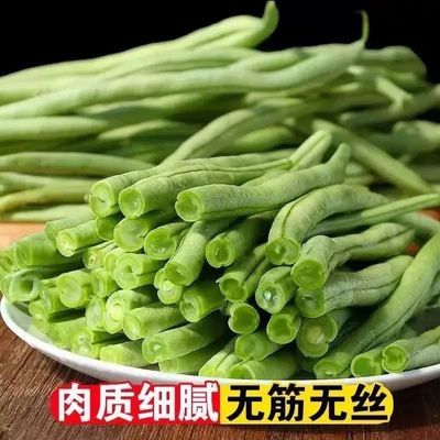 云南无筋豆架豆王无丝豆应季蔬菜四季豆现摘现发新鲜蔬菜豆角包邮