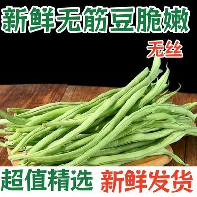 云南无筋豆豆角无丝豆现摘新鲜现发蔬菜云南农家四季豆露天种植