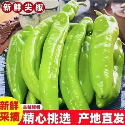 带箱5斤现摘尖椒新鲜辣椒薄皮尖椒微辣农家蔬菜虎皮尖椒批发价