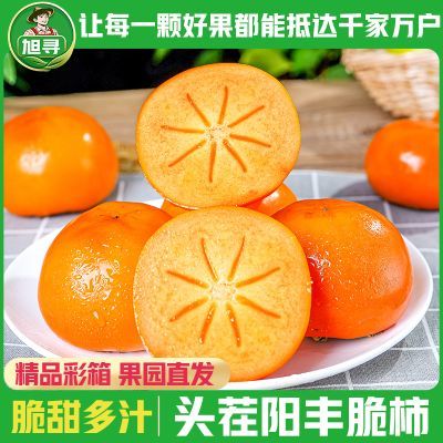 彩箱【旭寻】山西阳丰脆柿子巧克力柿子应季新鲜水果批发净重3斤