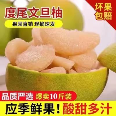 无孔无缝小果10斤福建正宗度尾文旦柚新鲜采摘当季红心柚子孕水果