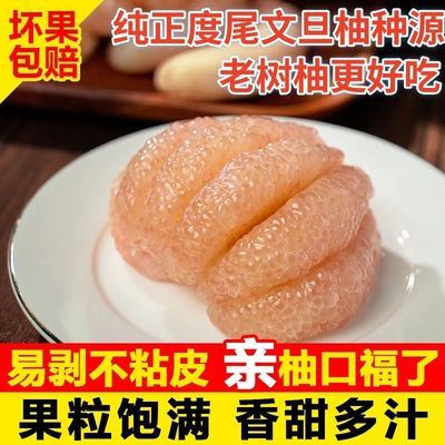 正宗福建仙游度尾柚子文旦多汁红心当季现新鲜水果文旦柚无孔小果