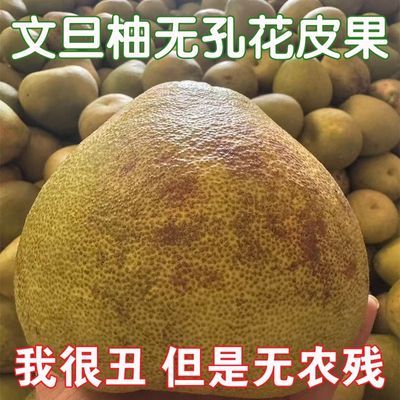 正宗福建仙游度尾三十八年老树花皮文旦柚无孔丑果袋装自吃佳选