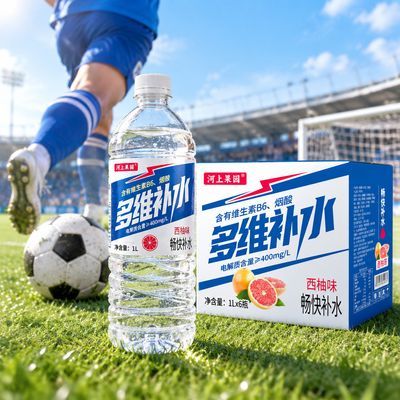 西柚味多维补水饮料电解质运动篮球柠檬西柚1升6瓶整箱发
