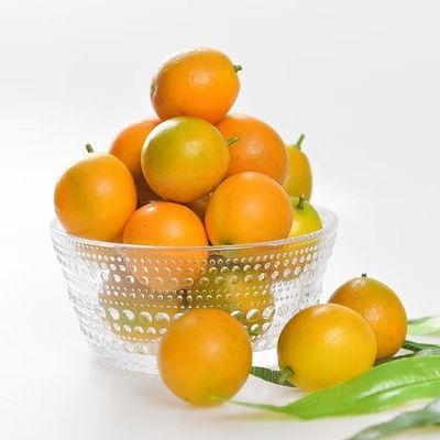 广西脆皮金桔纯甜无酸清喉润肺新鲜现摘脆皮小金桔桔子糖心