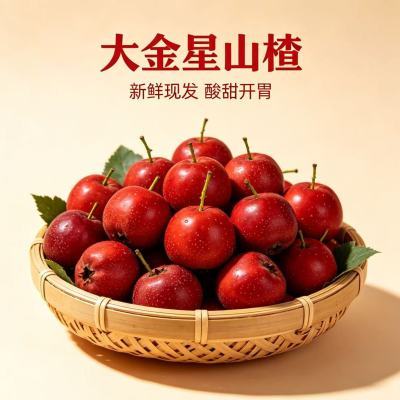 2026鲜果现摘大金星山楂非甜红子新山里红山楂大果山楂果酸甜专用