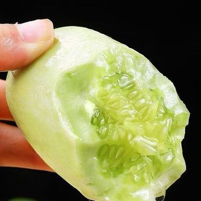 玉女水果黄瓜新鲜生吃寿光拇指小黄瓜脆嫩清甜爽口奶油当季秒杀