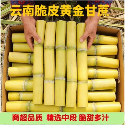 云南精选正宗精品中段黄金甘蔗应季新鲜当季多汁批发水果黄皮薄皮