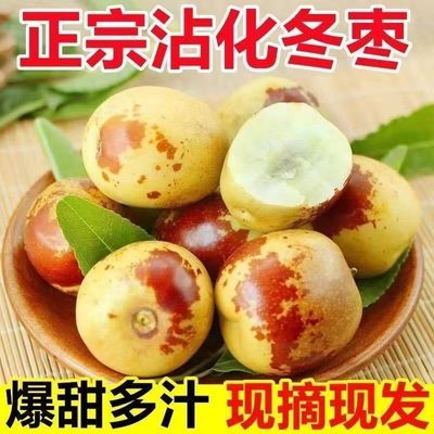 现摘现发山东沾化冬枣5斤整箱新鲜水果脆甜多汁红枣青枣产地直供